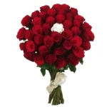 Eclat D'amour - Bouquet de roses rouges de haute qualité à Marrakech pour toutes occasions