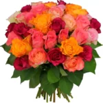 Paradis - Bouquet de roses de haute qualité à Marrakech pour toutes occasions