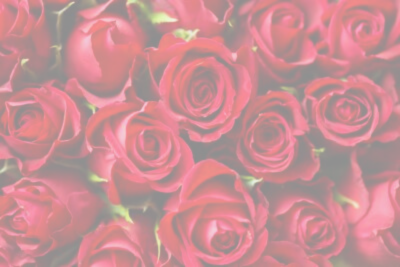 amour fleur- Bouquet de roses rouges de haute qualité à Marrakech