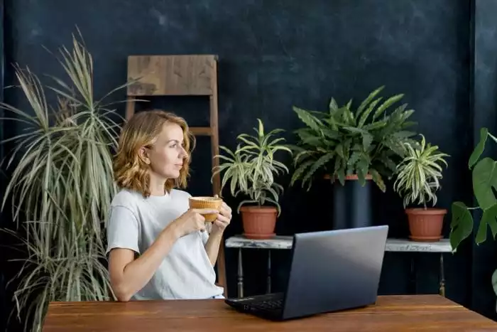 plantes bureau