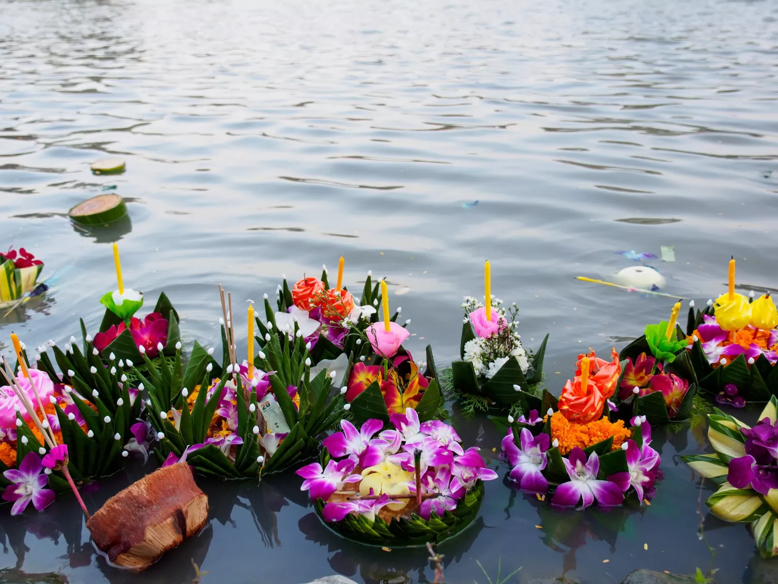 Fleurs Flottantes -Art florale Marrakech