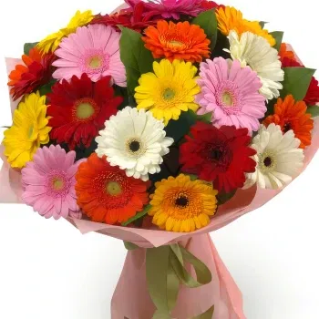 gerberas multicolores2