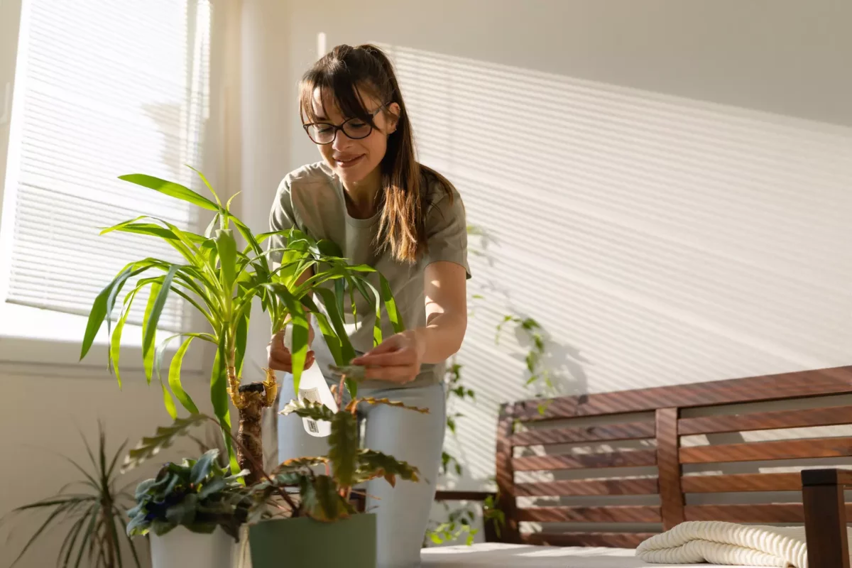 les fleurs améliorer votre humeur bien-être