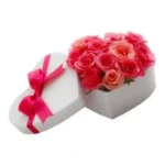 Premier pas ! - fleurs éclatantes pour un cadeau unique et optimiste à Marrakech