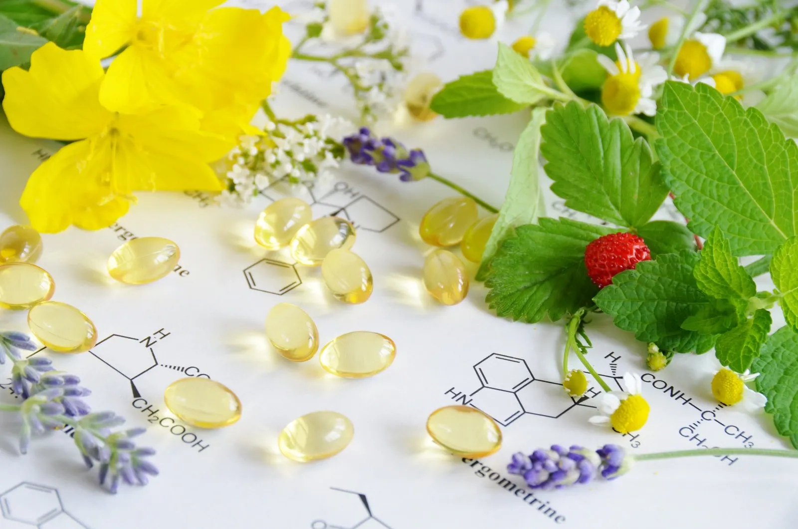 Science des Fleurs - Art florale Marrakech