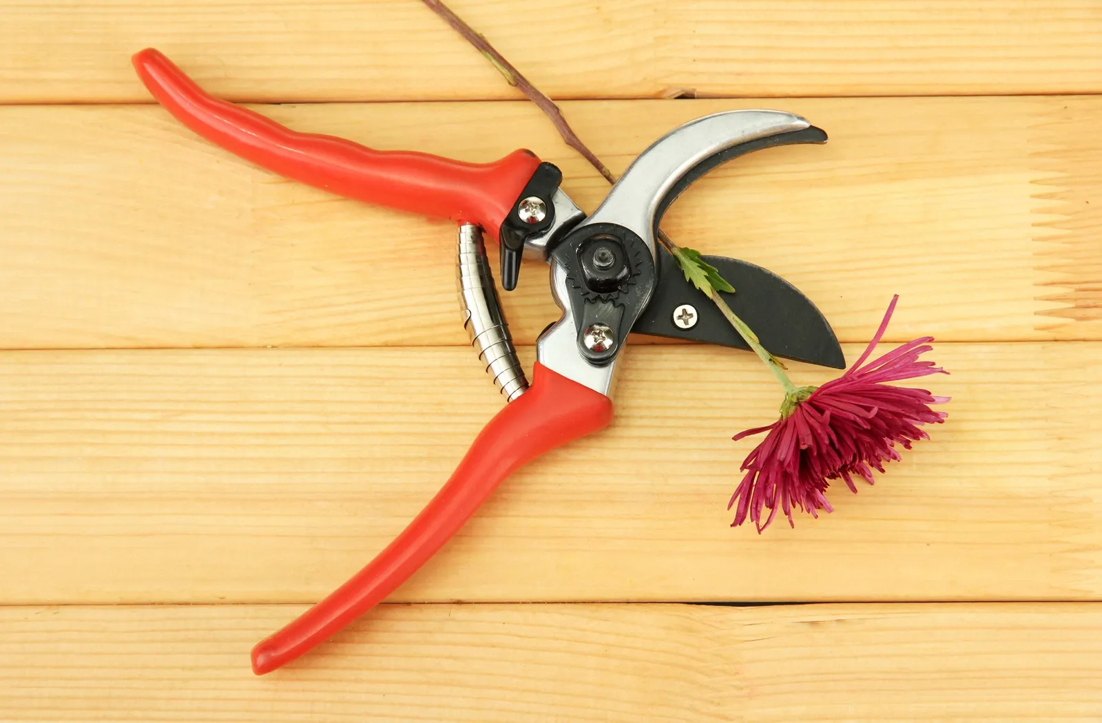 sécateurs pour fleurs1 - Boutique de fleurs Marrakech