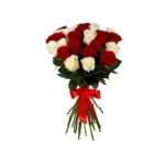 Bouquet de 24 roses rouges et blanches Rouge Neige – Fleuriste Marrakech